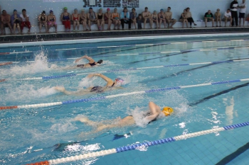 Соревнования по плаванию среди занимающихся