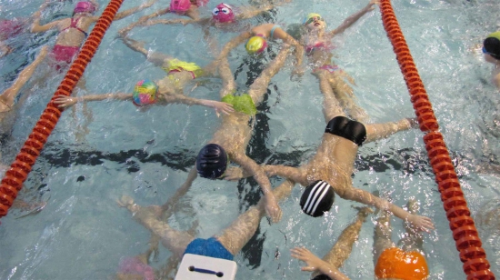 Соревнования по плаванию среди Малышей 18.12.2016 г.