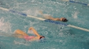 18 декабря 2016 года состоялись соревнования пловцов